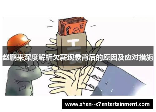 赵鹏来深度解析欠薪现象背后的原因及应对措施