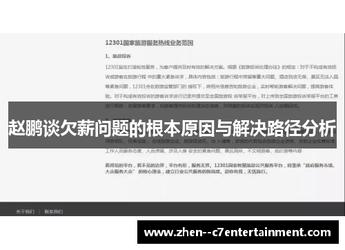 赵鹏谈欠薪问题的根本原因与解决路径分析
